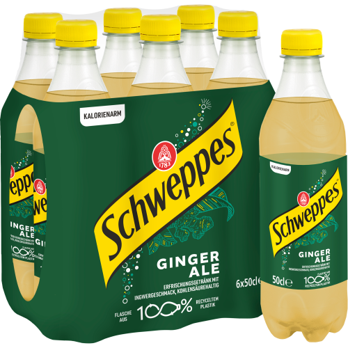 SCHWEPPES Ginger Ale Pet 2368 50 cl, 6 Stk.