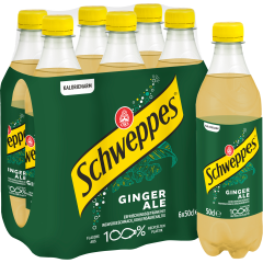SCHWEPPES Ginger Ale Pet 2368 50 cl, 6 Stk.