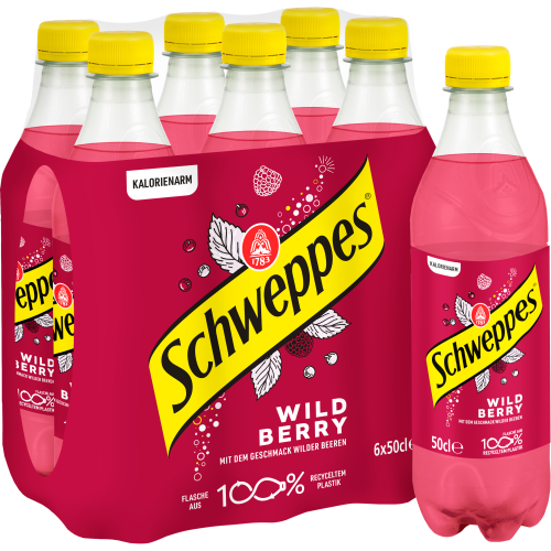 SCHWEPPES Wild Berry 11020621 50 cl, 6 Stk.