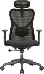 APOLLO Bürodrehstuhl Vyra CH-539A schwarz