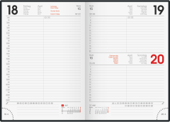 BRUNNEN Buchkalender 2027 1079561017 1T/1S rot ML A5