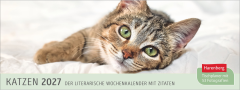 HARENBERG Pultkalender 2027 3310235+27 Katzen 29.9x11.1cm