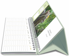 HARENBERG Pultkalender 2027 3310235+27 Katzen 29.9x11.1cm