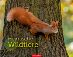 WEINGARTEN Bildkalender 2027 3312198+27 Heimische...