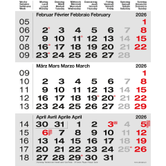 CALENDARIA 3-Monats-Wandkalender 2027 9783036205793 grau...