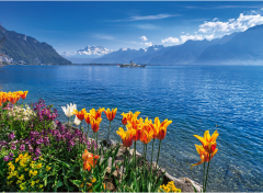 CALENDARIA Bildkalender 2027 9783036206004 Suisse Romande...