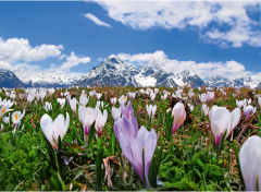 CALENDARIA Bildkalender 2027 9783036205823 Engadin ML...