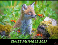 CALENDARIA Bildkalender 2027 9783036205755 Swiss Animals...
