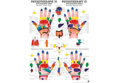 RÜDIGER Poster laminiert Physiotherapie VI 50 x 70  de