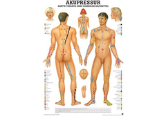 RÜDIGER Lehrtafel laminiert Akupressur 70 x 100  de