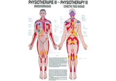 RÜDIGER Mini-Poster laminiert Physio III 23 x 33  de