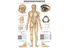 RÜDIGER Poster laminiert Körperakupunktur 50 x...