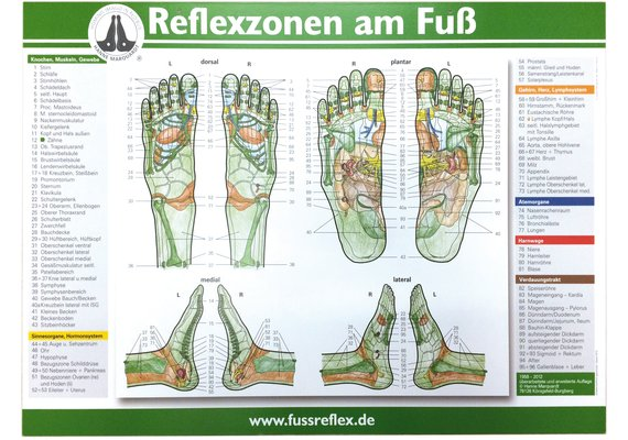 Fussreflexzonentafel 59 X 41 De Kaufen Gratis Versand In Ch