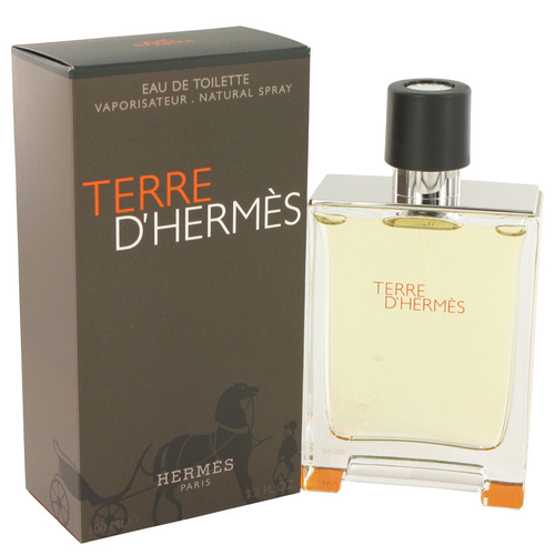 Terre D??Hermès by Hermès Eau de Toilette Spray 100 ml