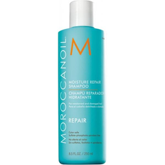 Moroccanoil regenerierendes Shampoo 250 ml